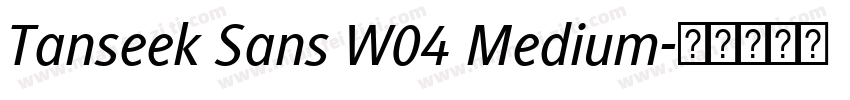 Tanseek Sans W04 Medium字体转换